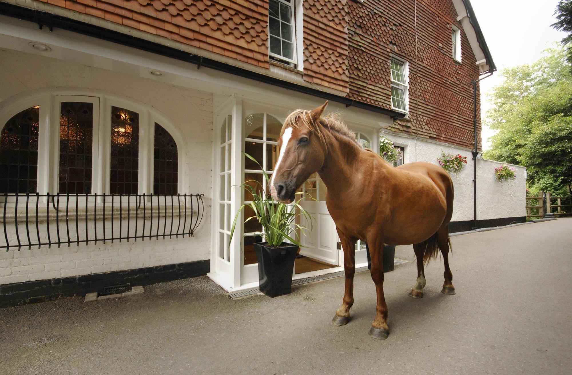 Moorhill House Bed & Breakfast Burley Exterior photo